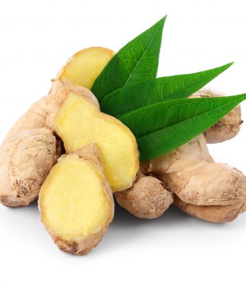 Ingwer - Heilpflanze des Jahres 2018