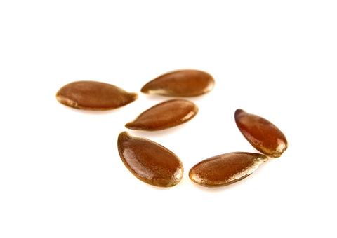 Leinsamen