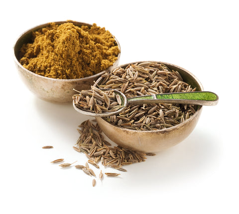 Kreuzkümmel - CUMINUM CYMINUM