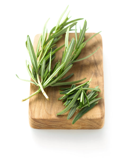 Rosmarin - ROSMARINUS OFFICINALIS