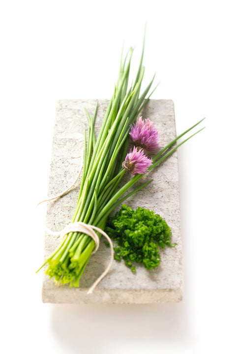 Schnittlauch - ALLIUM SCHOENOPRASUM
