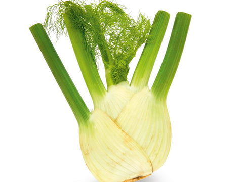 Fenchel