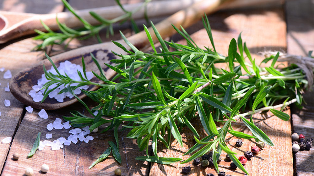 Lieblingsspeise? Fleischpflanzerl! – Alfons Schuhbeck Lieblingsspeise? Fleischpflanzerl! – Alfons Schuhbeck