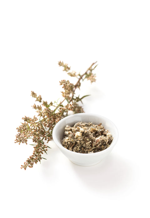 Beifuß - ARTEMISIA VULGARIS