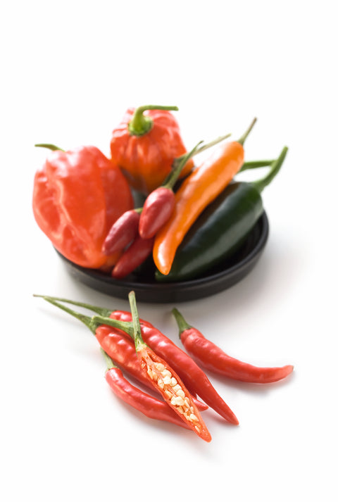 Chili - CAPSICUM ANNUUM, CAPSICUM FRUTESCENS