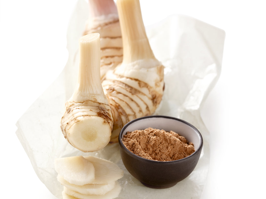 Galgant ALPINIA GALANGA, ALPINIA OFFICINARUM Alfons Schuhbeck