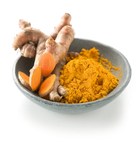 Kurkuma - CURCUMA LONGA