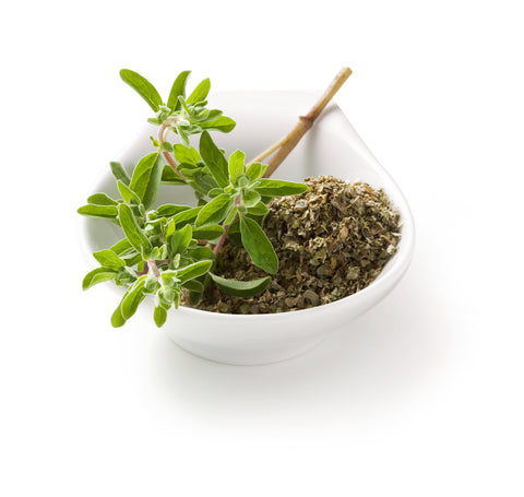 Majoran - MAIORANA HORTENSIS