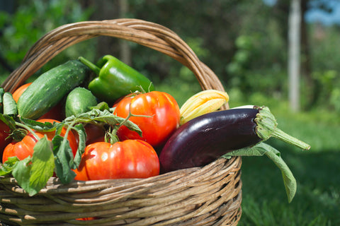 Shakshuka Vanille.jpg__PID:5b0be9ac-d857-4b35-8e8a-5d9a1fd77b6c